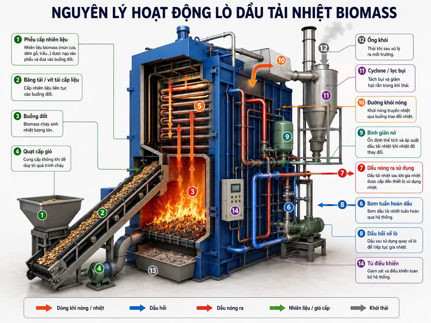 Sơ đồ cắt bổ lò dầu tải nhiệt biomass, minh họa cấp nhiên liệu, buồng đốt, cụm ống trao đổi nhiệt và tuần hoàn dầu.